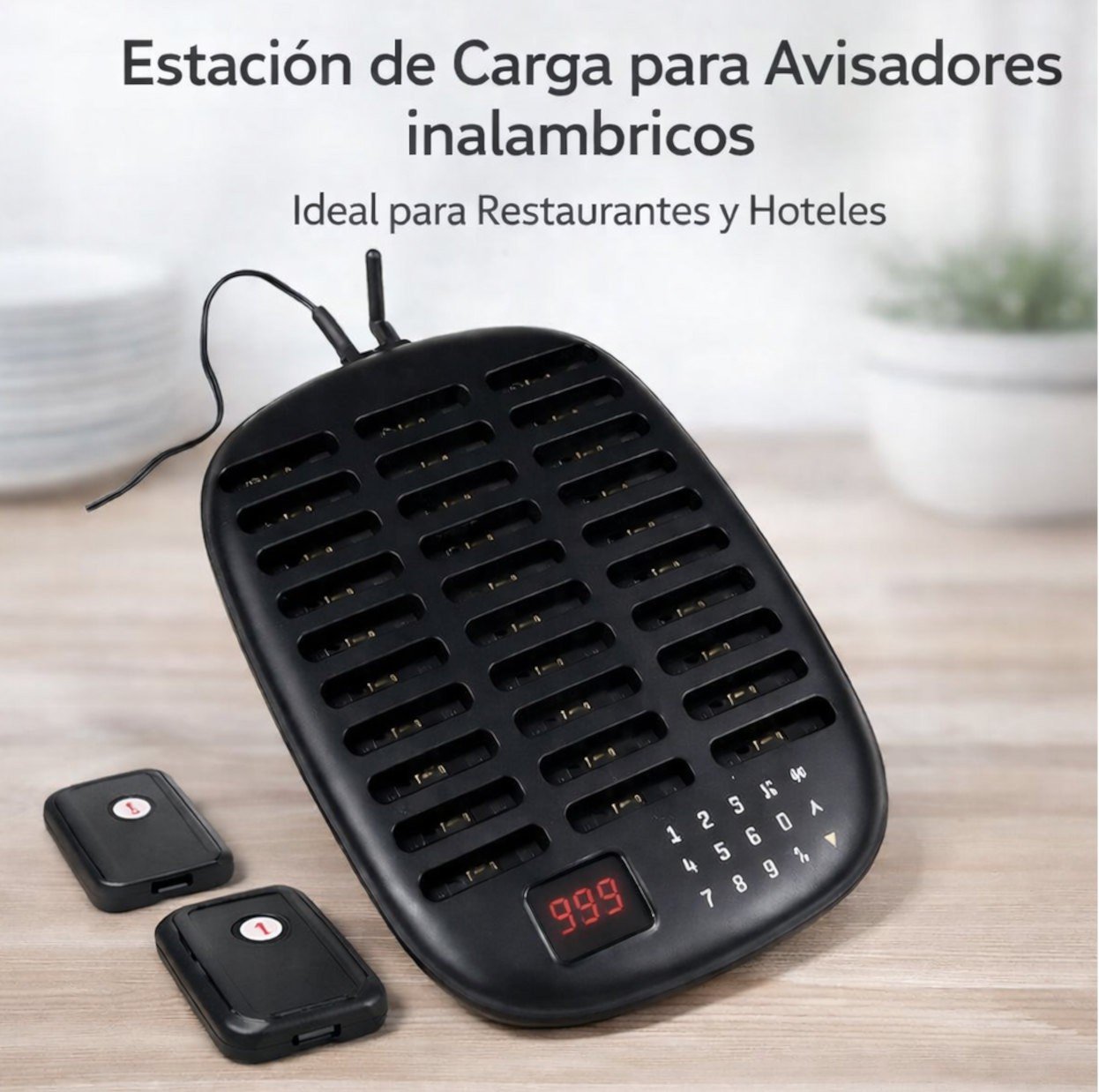 product-19821-a6c287f929a864a9962cee49ff588cc8 Base de carga para 30 receptores Pavisar con transmisor - Imagen 1